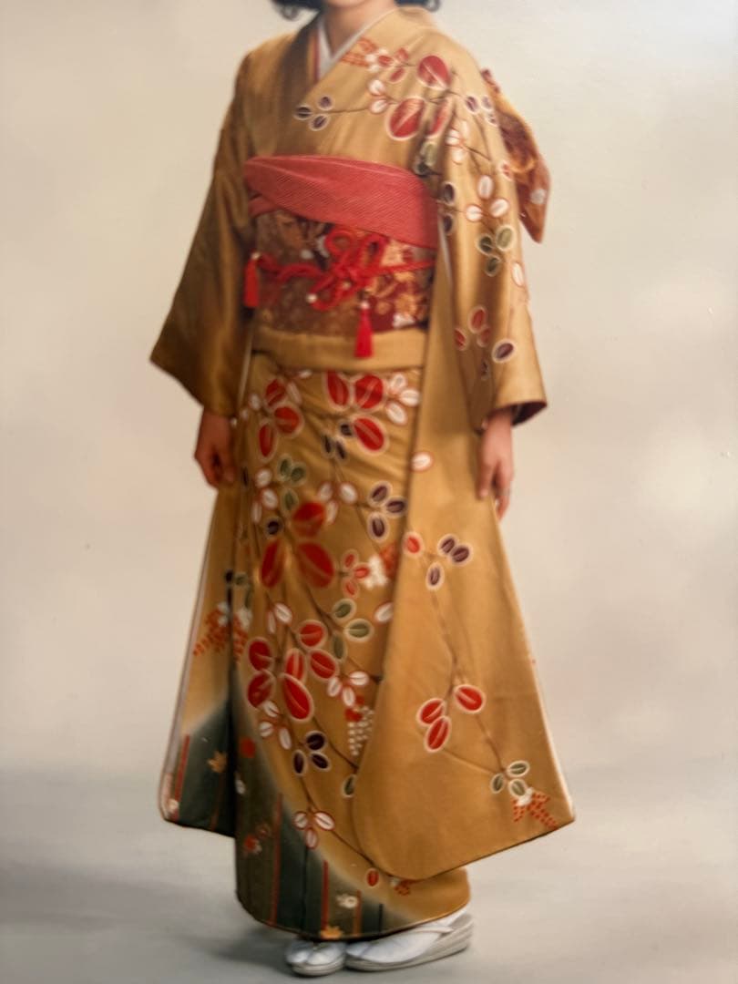 振袖 フルセット　小物もあり　お値下げしました‼️