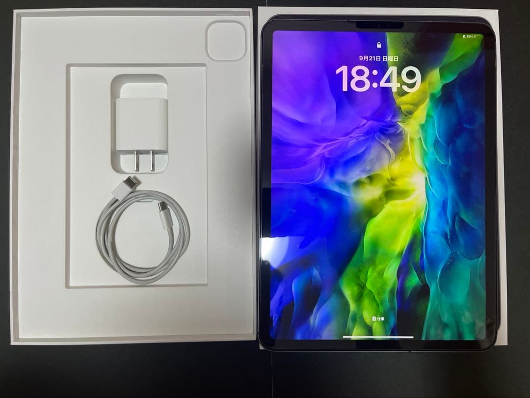 iPad Pro 11インチ (第2世代) 256GB セルラー　ケース付き
