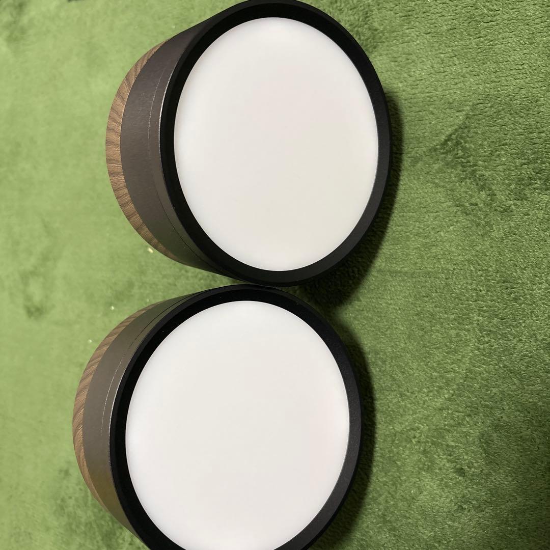 エジソンスマート ウッド調 ミニシーリングライト　２個セット