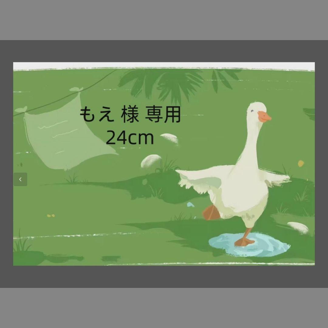 もえ  24cm