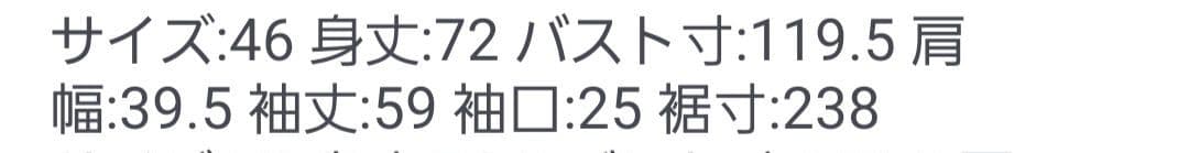 極美品 フリルレイヤードパーカー ローズティアラ 大きいサイズ46