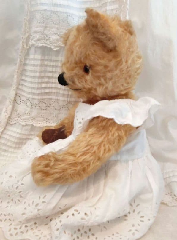 チャドバレーベア 47cm