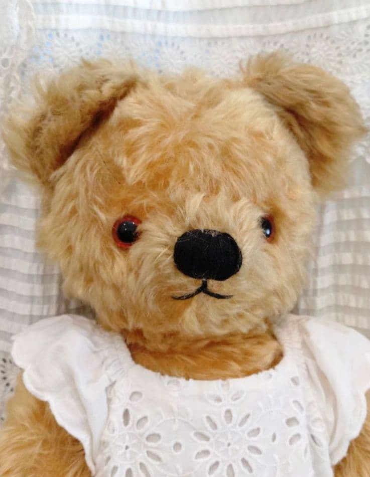 チャドバレーベア 47cm