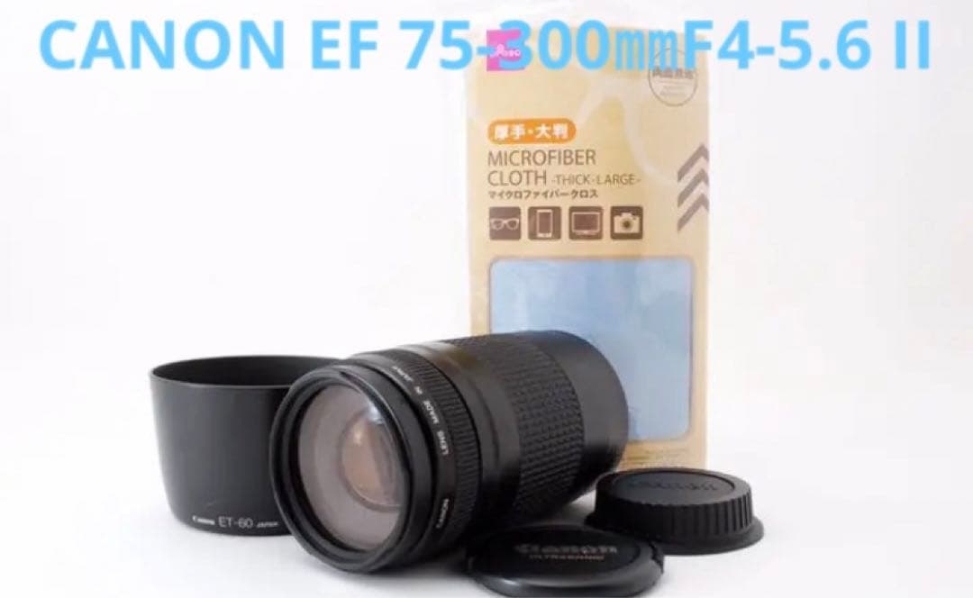 望遠レンズ /フード付き/キャノン /CANON EF 75-300㎜