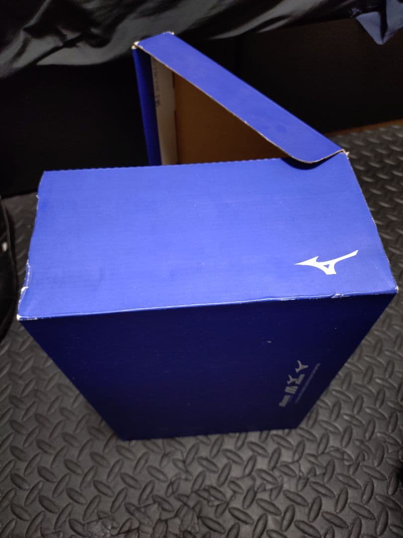 新品格安Mizuno ハイカット安全靴 ブラック27センチ