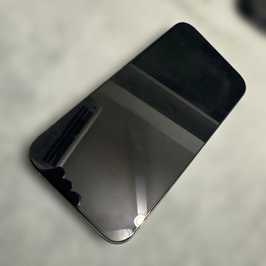 【美品】iPhone 15 Pro 256GB ナチュラルチタニウム(おまけ有