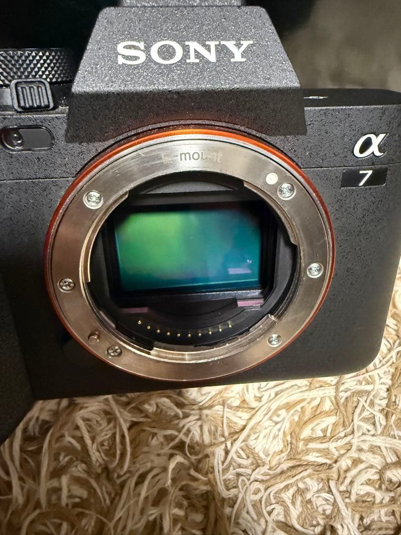 【低ショット数・極美品】SONY α7 IV ボディ（ILCE-7M4）