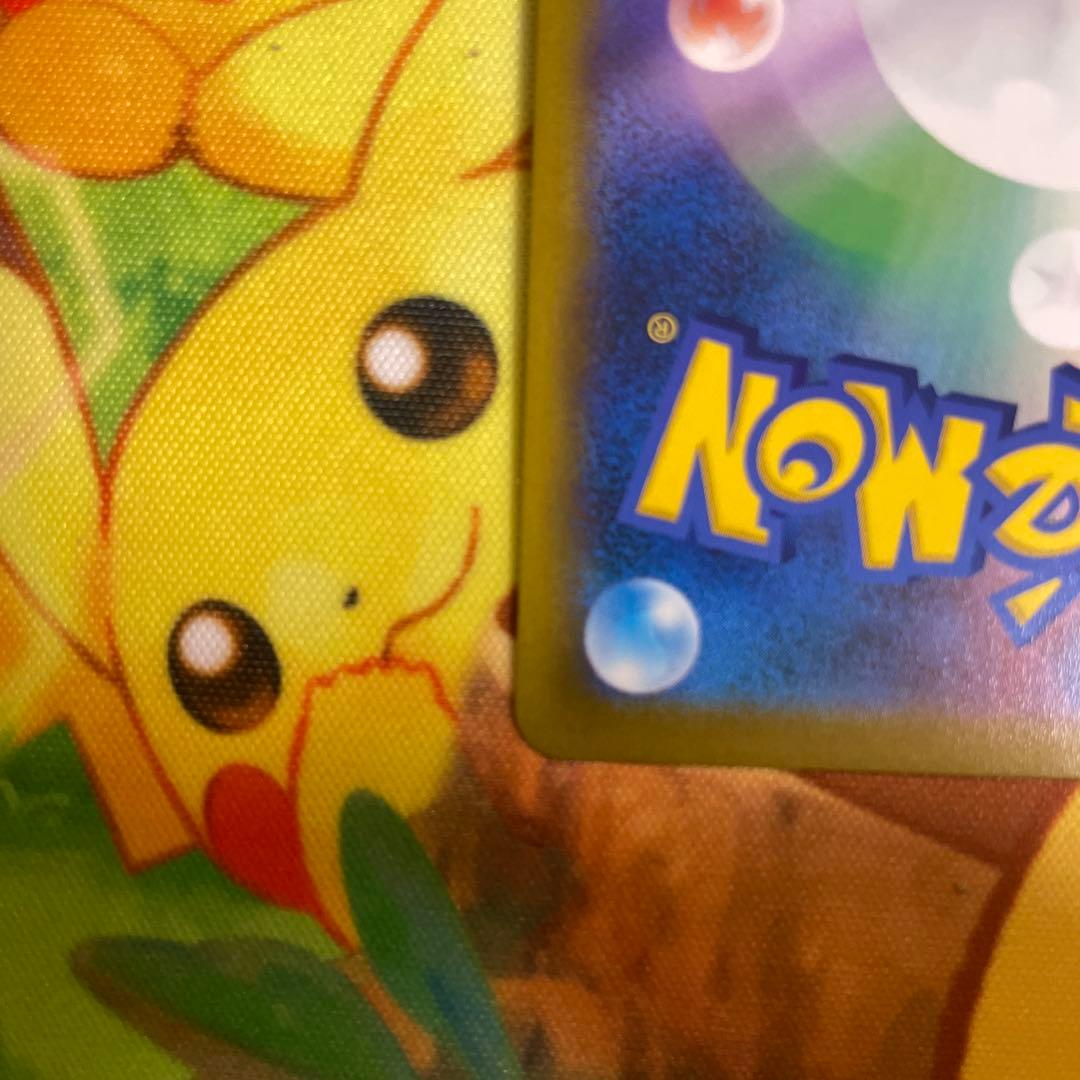 【超希少】セキ SR S10D【エラーカード】