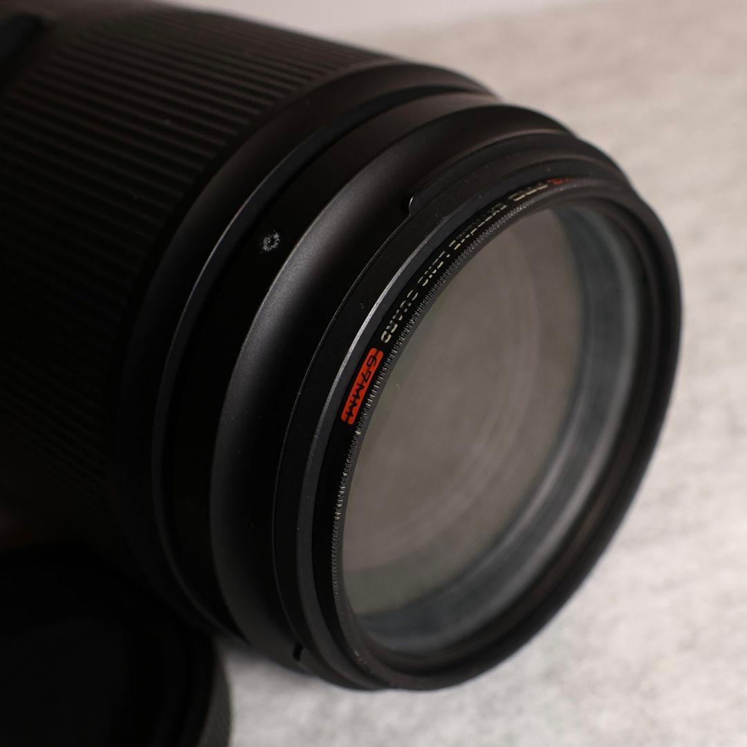 TAMRON 100-400mm F4.5-6.3（キヤノン）