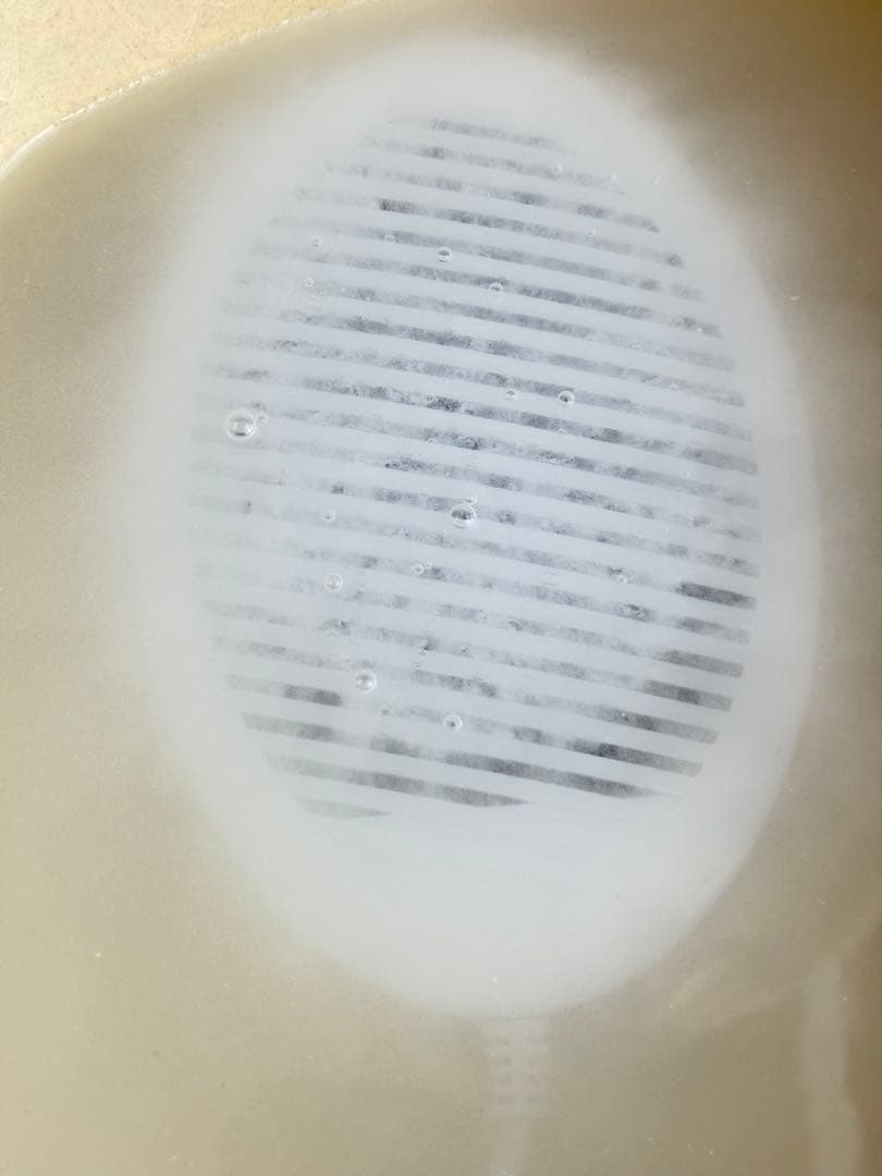 水素風呂 リタライフ Ver2 電極 Lita-Life WHR-LL-002