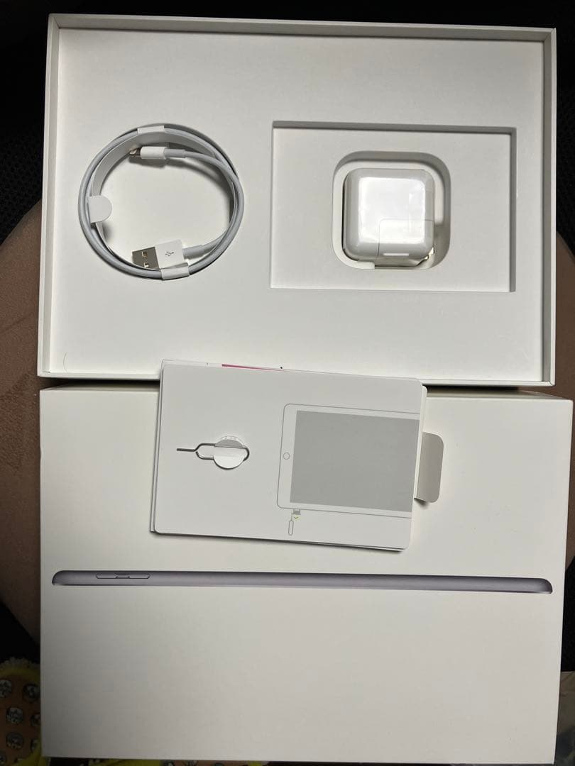 専用出品:Apple iPad 第6世代 128GB セルラー 付属品完備