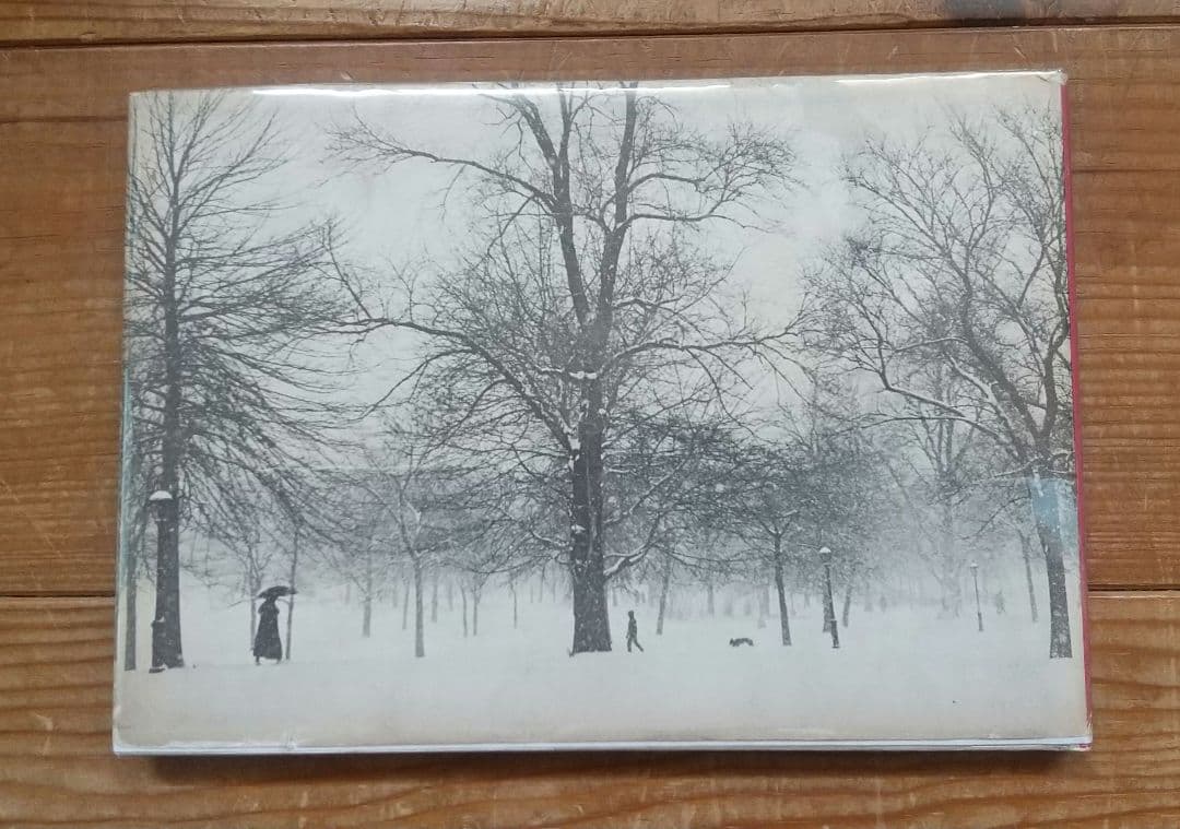 Hellen Buttfield【The Park】写真集★tamiserタミゼ