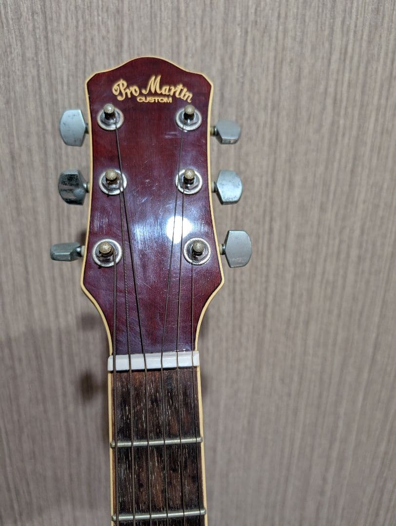 良音/Pro Martin EA500W VS アコースティックギター