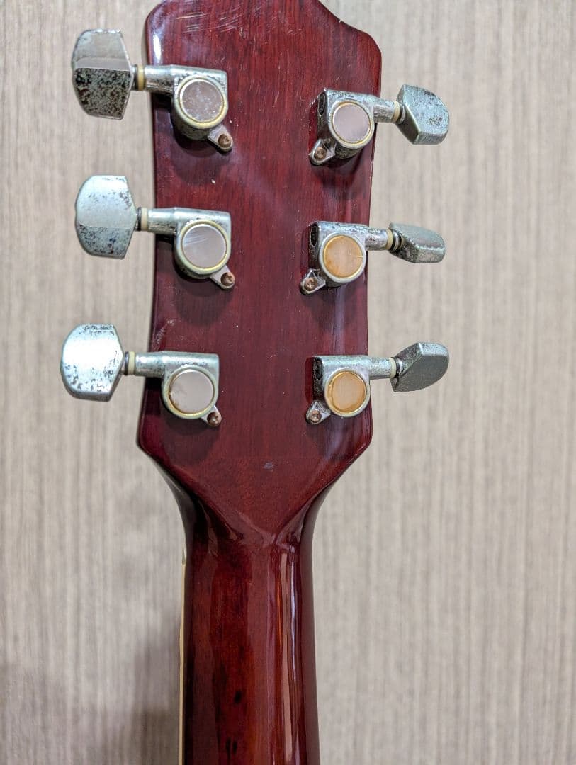 良音/Pro Martin EA500W VS アコースティックギター