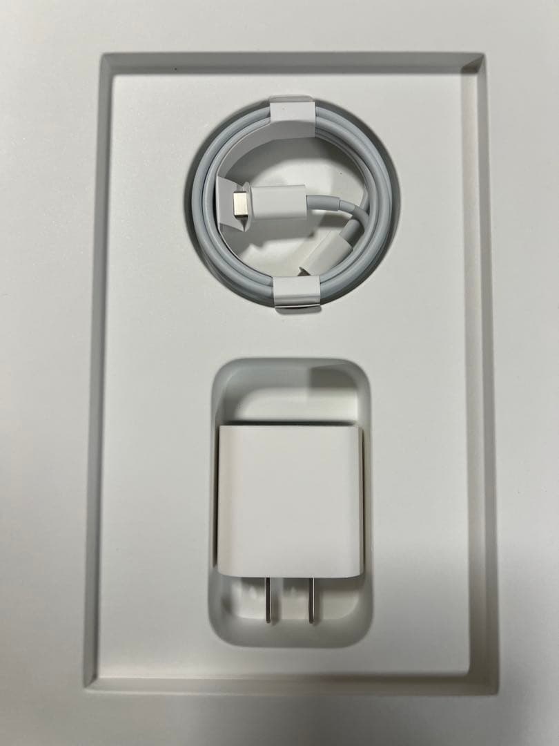 iPad 第9世代 64G Wi-Fi シルバー ケーブル、アダプター付