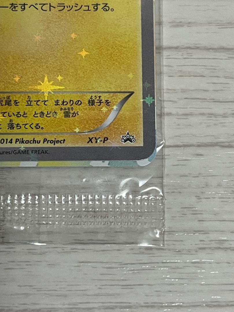 XY-P ピッチのピカチュウ_Jリーグ「ファミリー Joinデイズ」 PROM…