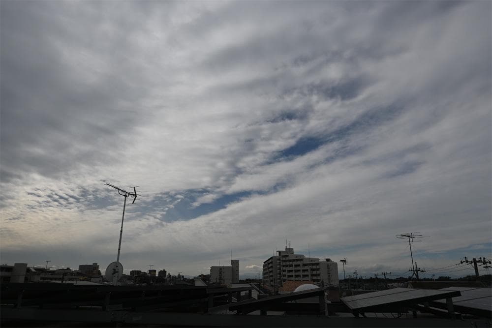 さ*だ様 Nikon ニコン Z50 16-50 VR レンズキット ミラーレス