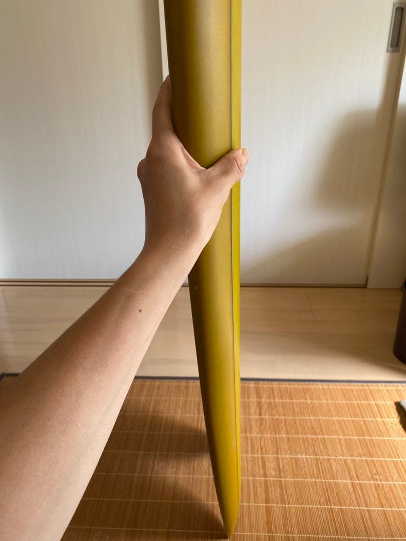 【TappyRecord】カスタムフィッシュ5,8 未使用　タッピーレコード