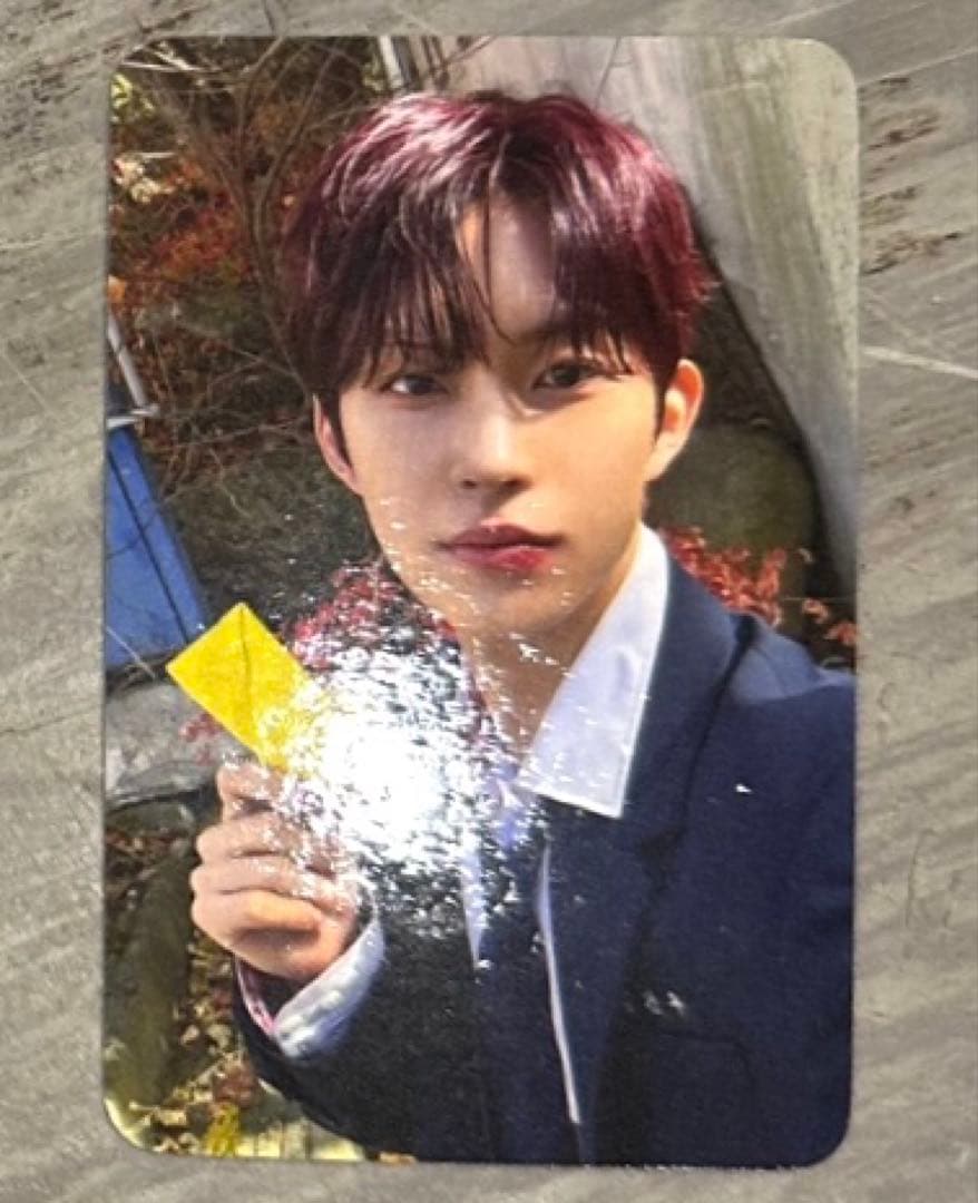 ALD1 ゴヌ デビュー ショーケース ショケ サノク 限定 トレカ