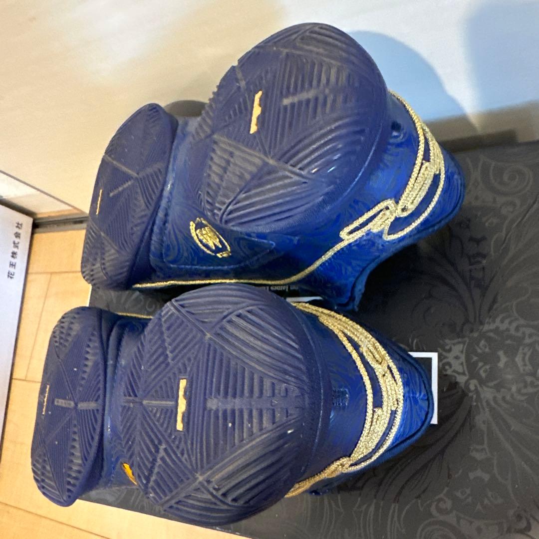 シューズ(男性用) lebron 22 monopoly token 29cm