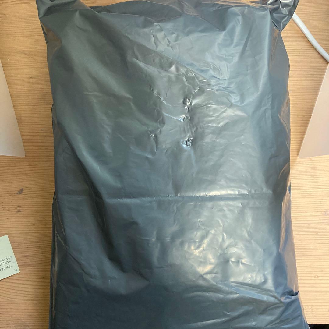 ジャンク　iPad Pro 12.9インチとApple Pencil