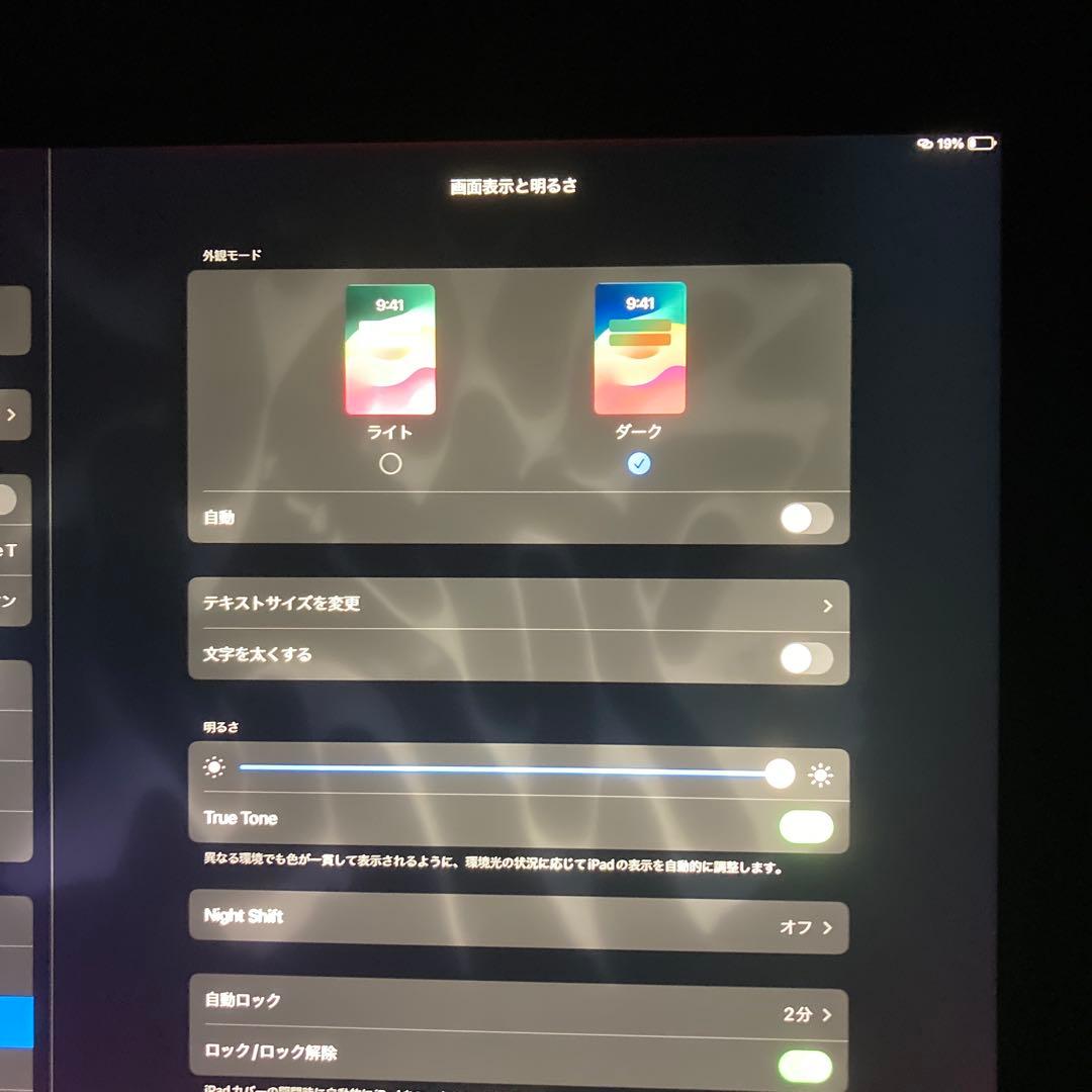 ジャンク　iPad Pro 12.9インチとApple Pencil