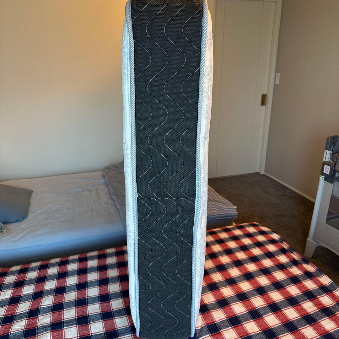 セミダブルマットレス　LT9900PW ミディアムソフト　フランスベッド製