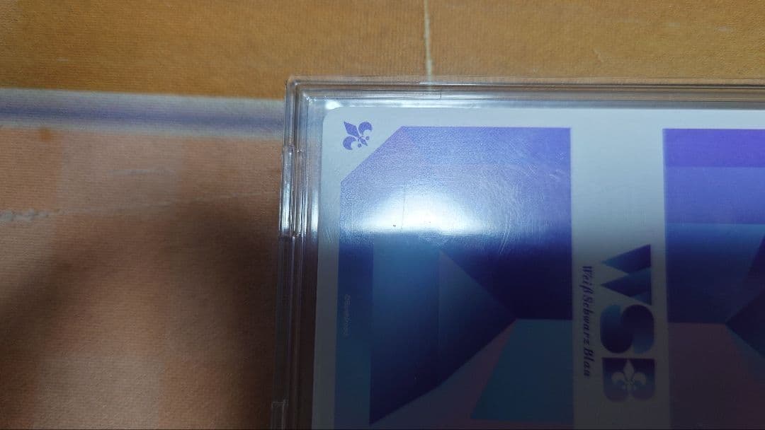 ヴァイスシュヴァルツブラウ 家庭教師ヒットマンREBORN 敢闘賞