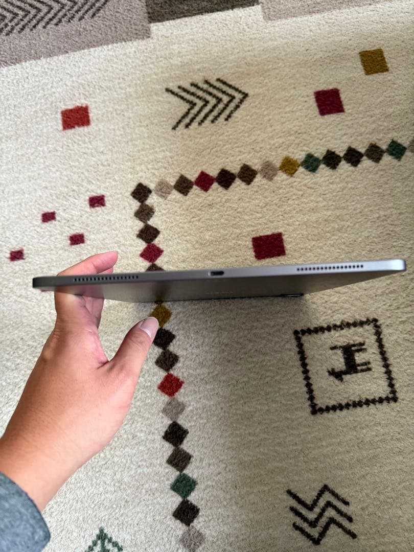 iPad Pro(第4世代) 12.9 inch 512GB wifiモデル