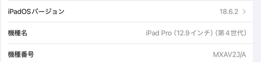 iPad Pro(第4世代) 12.9 inch 512GB wifiモデル