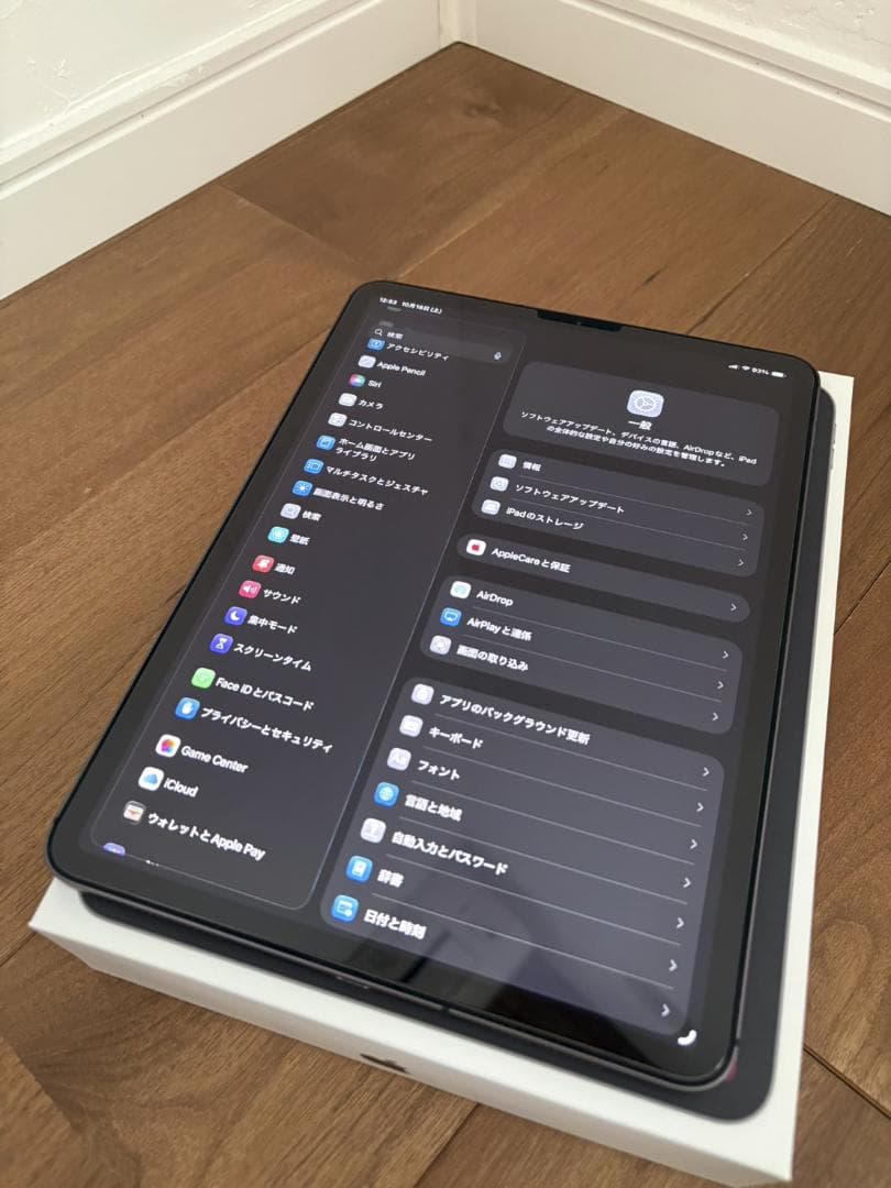 iPad Pro 11 第2世代 256GB Cellular