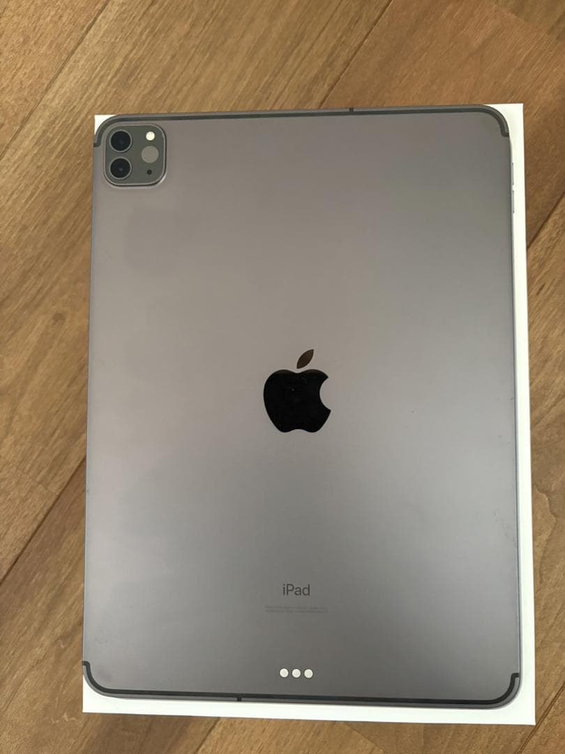 iPad Pro 11 第2世代 256GB Cellular