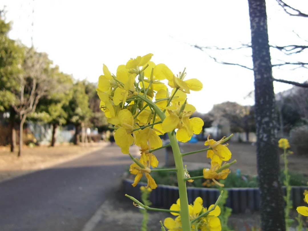 実写美⭕️外観美【動作確認済】CASIO EXILIM EX-Z400 ピンク