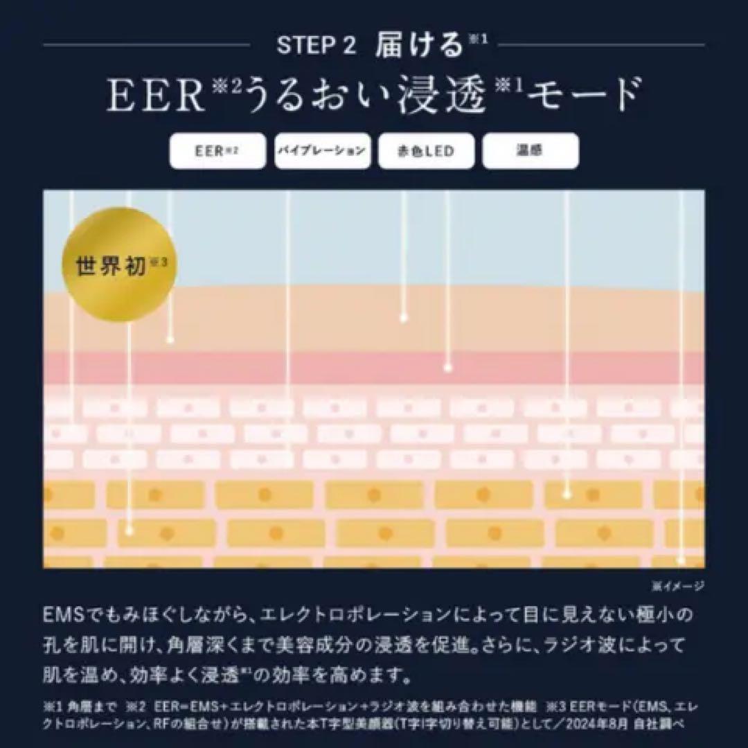 アンファー　ディズム　EMS EER メディスキンケアデバイス