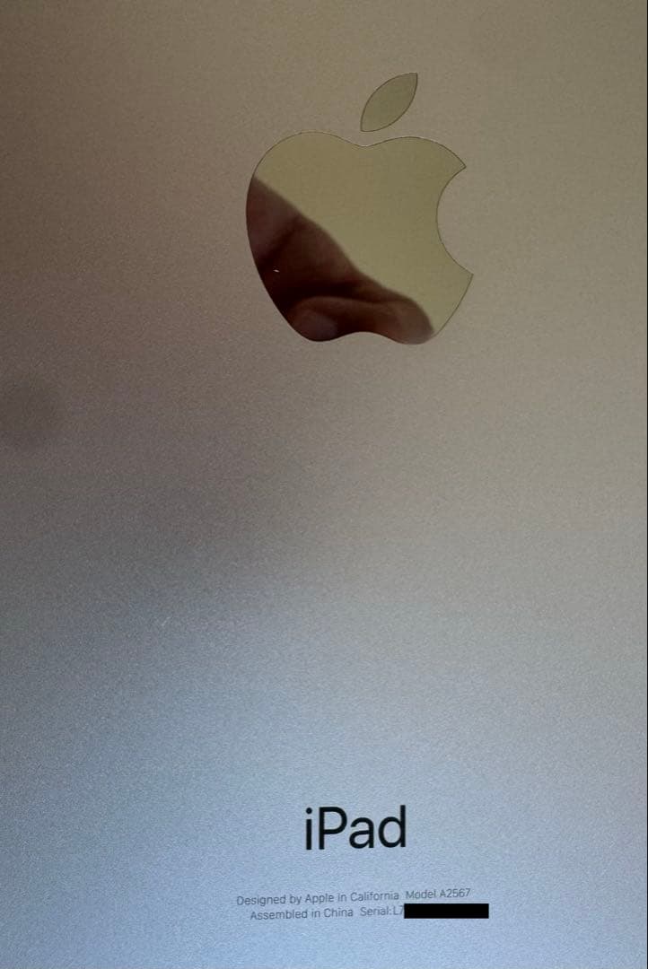 ipad mini6 ジャンク 水没