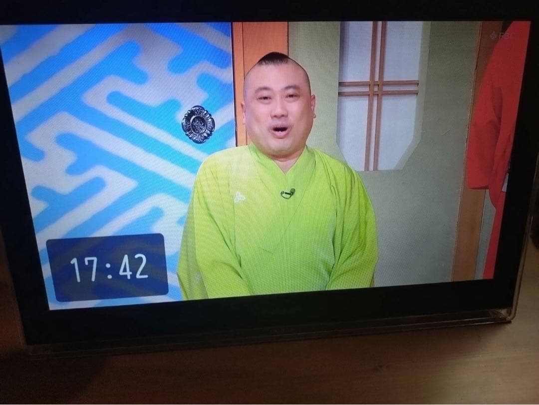 りりらら様　　パナソニック プライベートビエラ UN-JL15T3 HDD