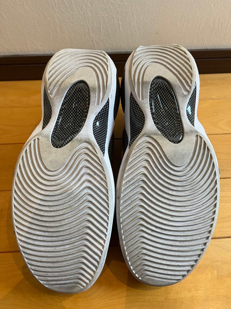 NIKE / AIR ZOOM FLIGHT 95 [中古] 29cm