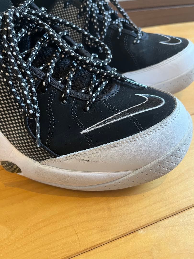 NIKE / AIR ZOOM FLIGHT 95 [中古] 29cm