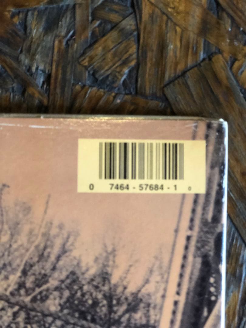 激レア盤MASTERDISKTD刻印入NAS illmaticレコード