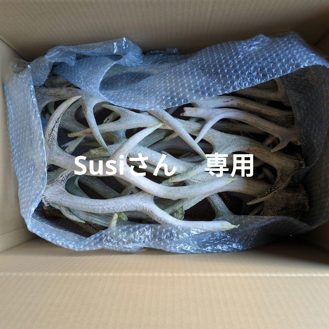 Susiさん専用 鹿のツノ20本強　10kg