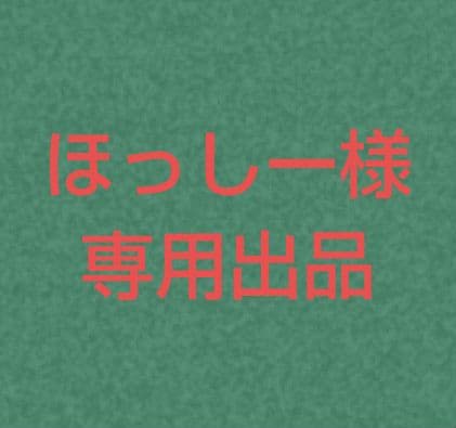 ほっしー出品