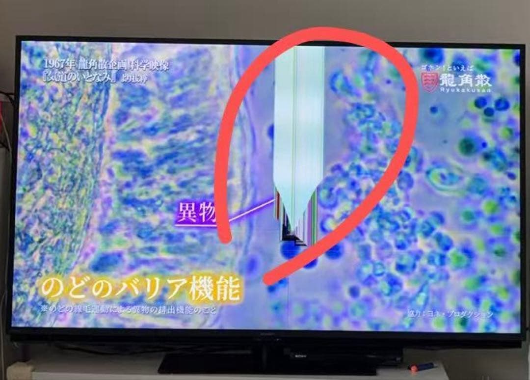 SHARP 2025年製55インチ 液晶テレビ 4T-C55FN2