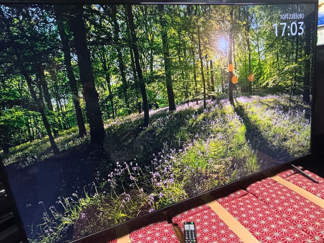SONY 65V型 4K 液晶テレビ BRAVIA KJ-65X8000H