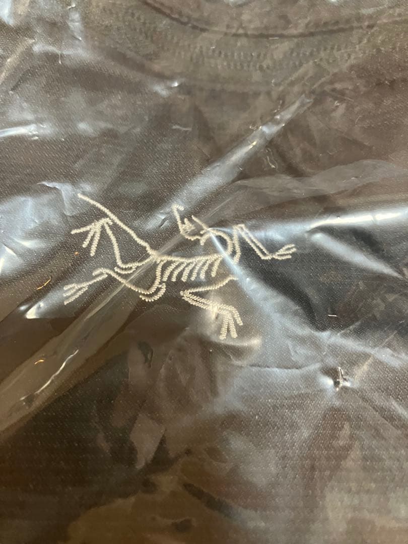 国内正規品 アークテリクス ヒリアド 15 ARC'TERYX HELIAD 黒