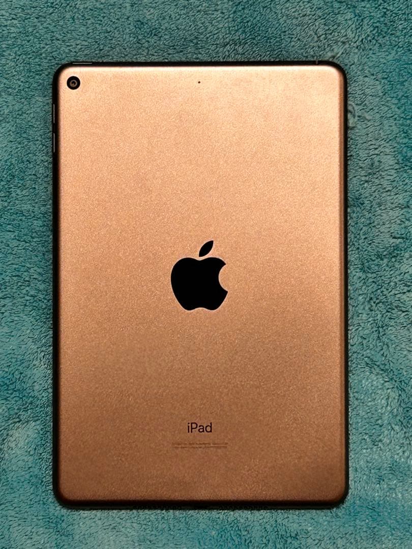 iPad mini (第5世代) Wi-Fiモデル 64GB スペースグレイ