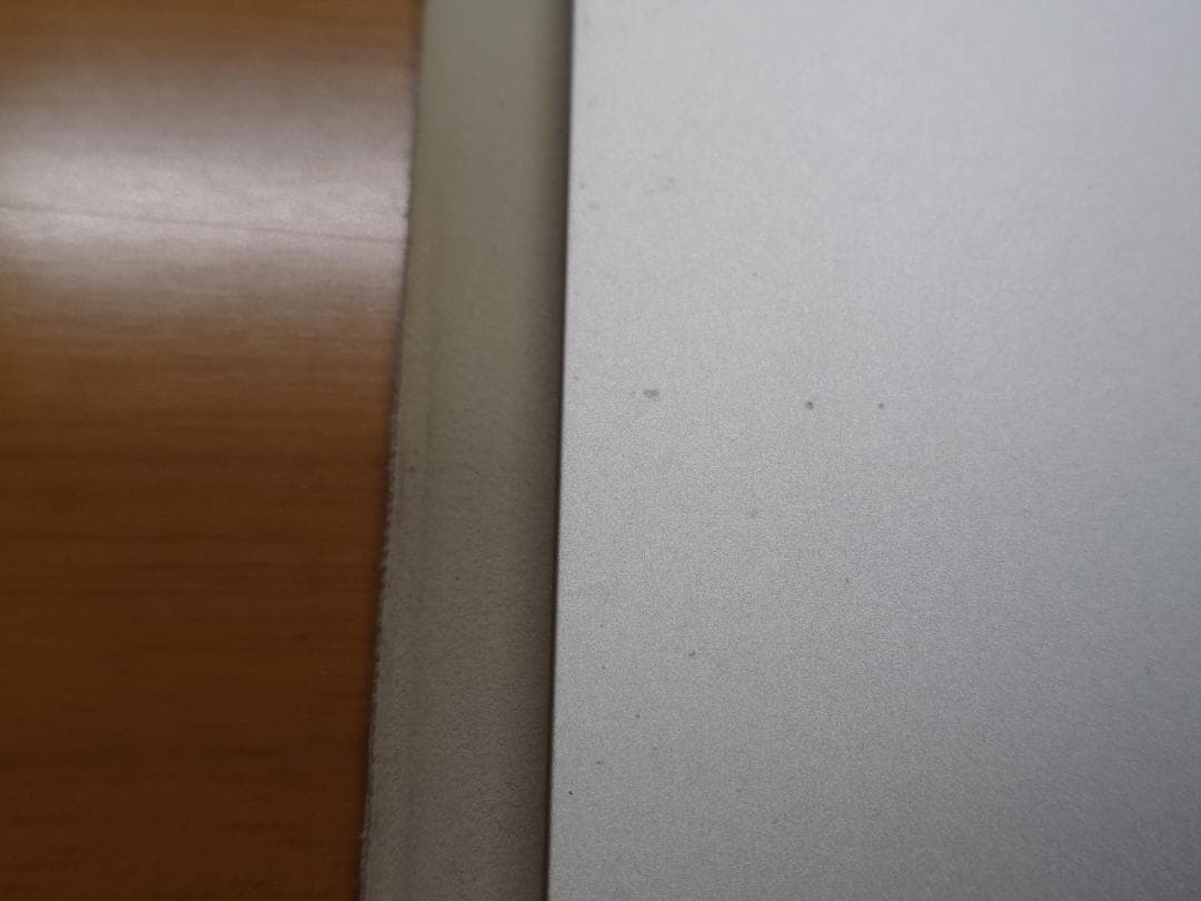 iPad mini 6（スターライト）