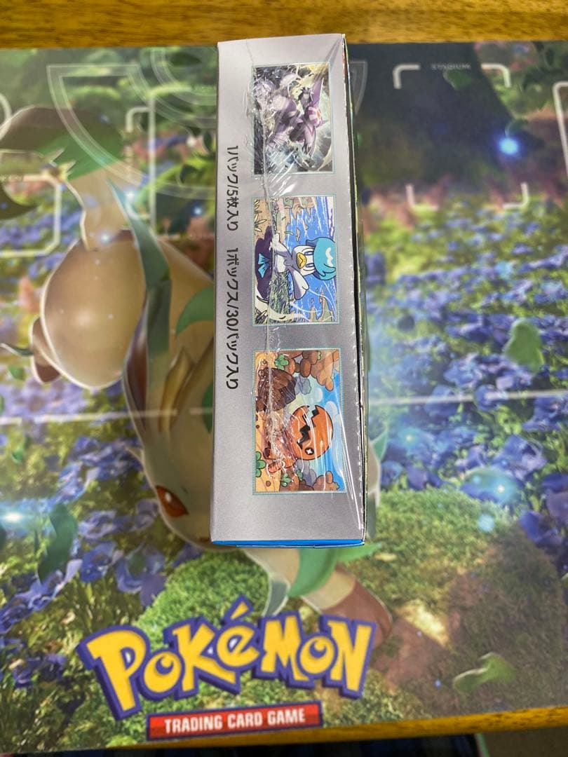 楽園ドラゴーナ　シュリンク付きbox