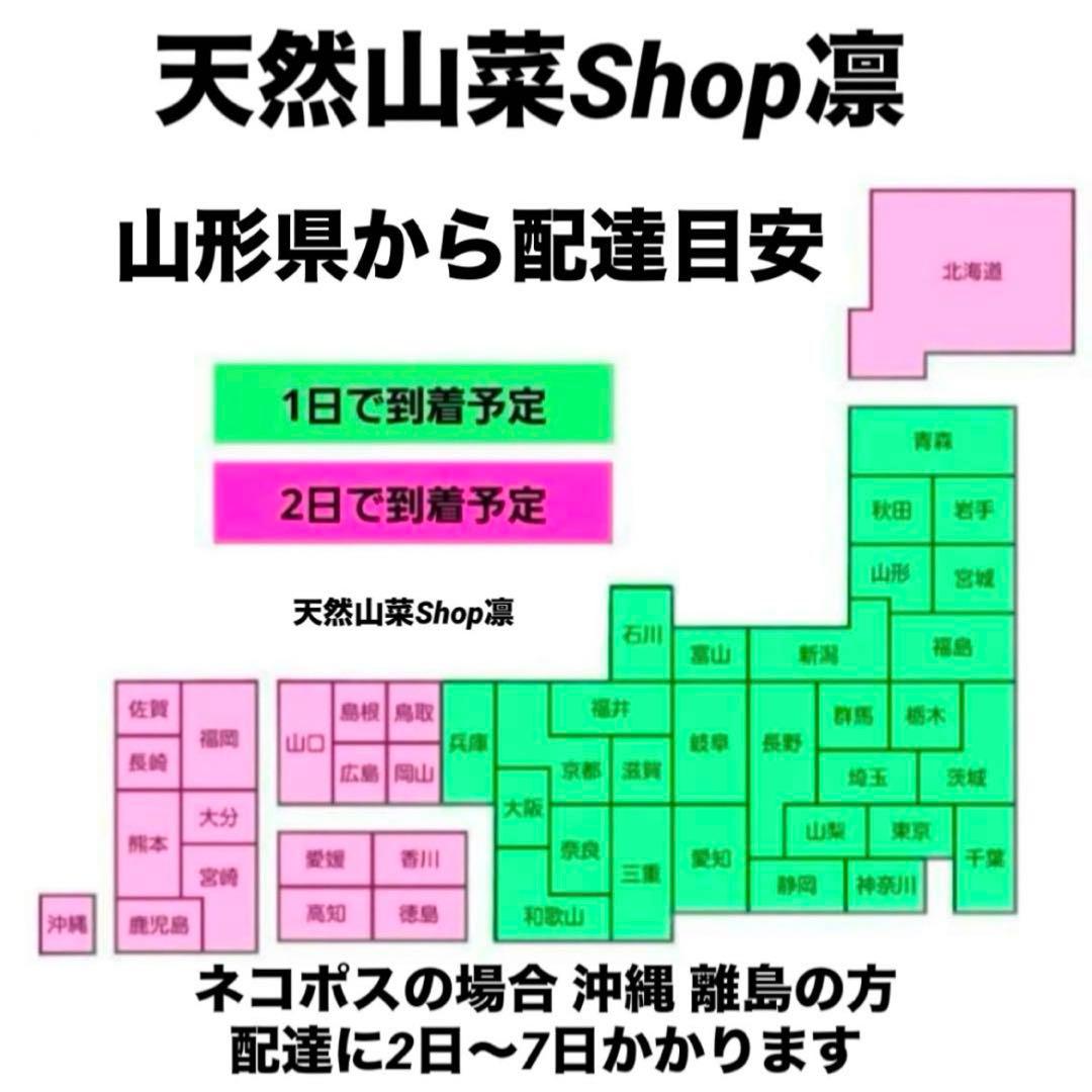 天然きのこ 松茸 国産 マツタケ まつたけ 山形県産 森の凛さん採取 その209