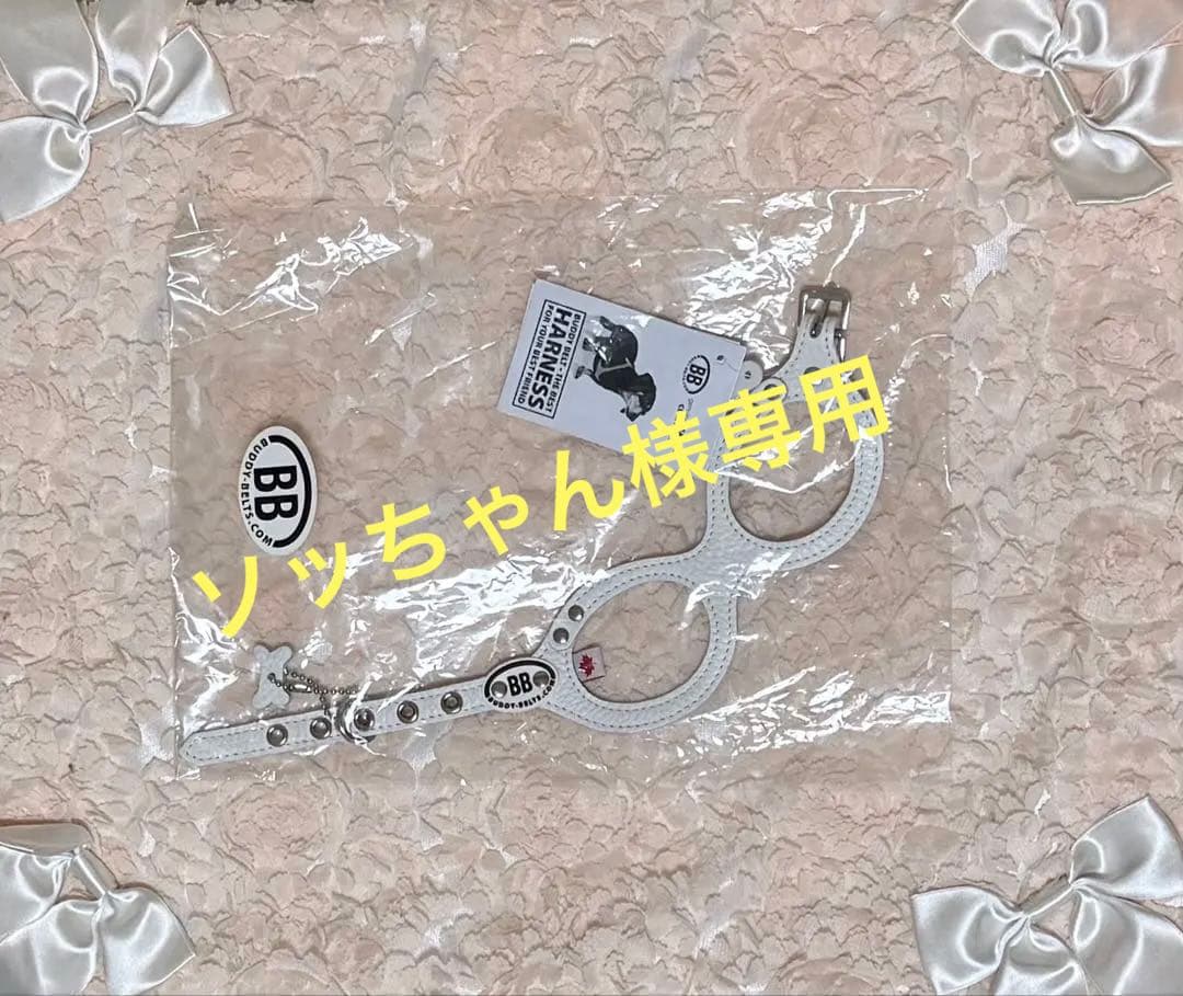 BUDDYBELTS (バディベルトBB) ハーネス2.5号 リードSサイズ 白