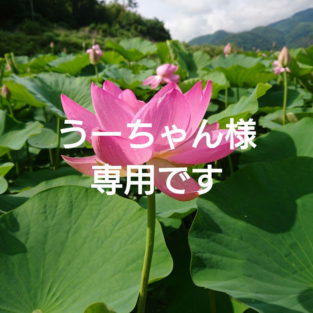 うーちゃん様☆専用です